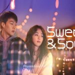 Sweet and Sour Korean Drama New Romantic Movie