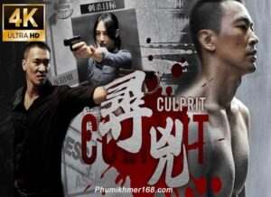 Hong Kong Film Culprit Best Chinese Movie Online